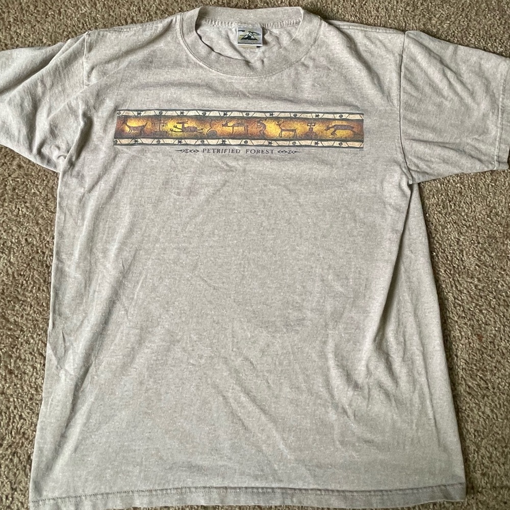 Vintage petrified forest T